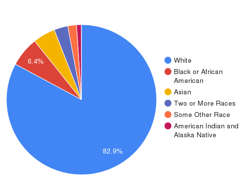 population by race for minnesota